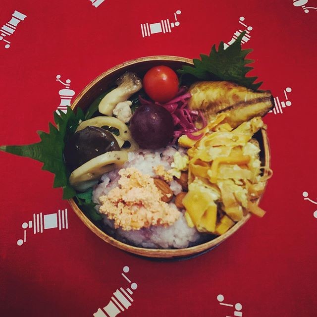 ヘルシー弁当